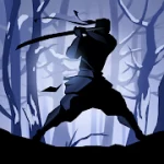 Shadow Fight 2 1.9.23 APK for Android